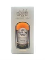 9yo 2013 Cooper's Choice
